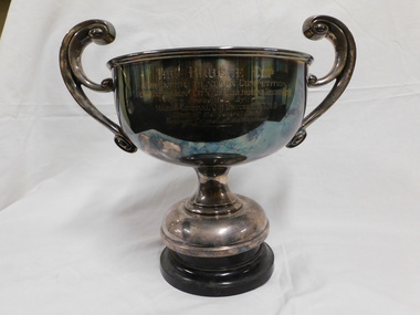 Award - Trophy, The Bruche Cup