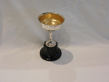 Award - Ballarat Begonia Festival Trophy, Lewbury - Tilbury & Lewis Pty Ltd No 40F, Ballarat Trophy