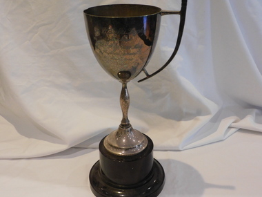 Award - A.P. Sykes Trophy, Sykes Trophy