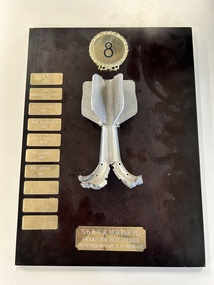 Award - 5/6 RVR Mortar PL. Award for Best Soldier