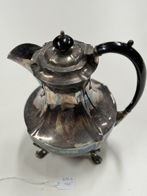 Functional object - Tea Pot