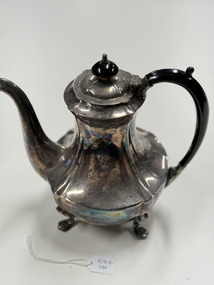 Domestic object - Tea Pot