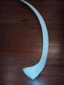 Whale bones