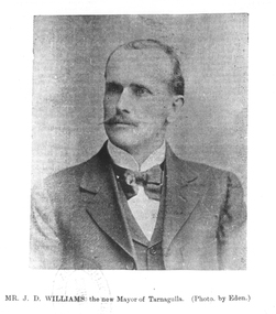 Photograph of Mr J.D. Williams, Former Mayor of the Borough of Tarnagulla, c.1905