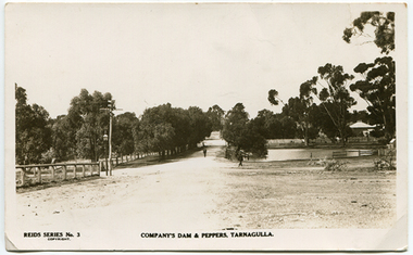 Photo-postcard depicting Company's Dam & Pepper Trees, Tarnagulla, c. 1910