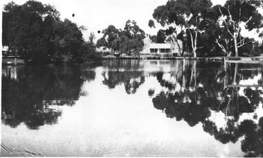 Copy of photo-postcard depicting Company's Dam, Tarnagulla, Company's Dam, Tarnagulla, Late 1919 or in 1920