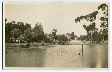 Photograph depicting Company's Dam, Tarnagulla, c. 1920s