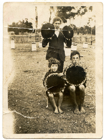 Photograph: Comrie children with sunflowers, Tarnagulla, 4th February 1925
