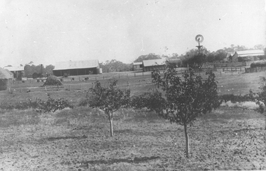 Photographs: Rosemont Homestead, Laanecoorie, Rosemont Homestead, Laanecoorie, 1896