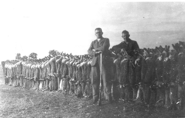 Photograph: Hare Shoot, Newbridge, Hare Shoot, Newbridge, circa 1930s