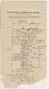 Document: Birth registration for Sarah Wilson, 1872