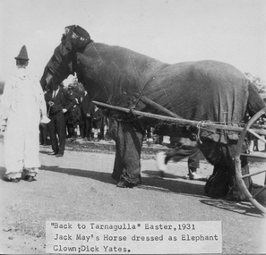 Photograph: Horse dressed as elephant, Back To Tarnagulla 1931 parade, 1931
