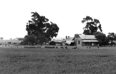 Photograph: View of a cottage from across a field, near Tarnagulla