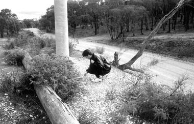 Photograph: Woman searching for quartz crystals, Crystal Hill, Tarnagulla