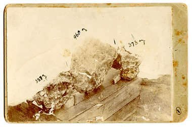 Photograph: Three Big Poseidon Nuggets, 1906