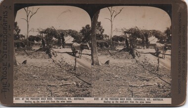 Stereoscope Photograph of a Poseidon Gold Mine, c1907