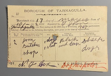 Receipt from Borough of Tarnagulla to T. Ison for Dog Licence, 1907