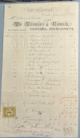 Statement of goods purchased for January 1905, Thomson and Comrie to T. Ison