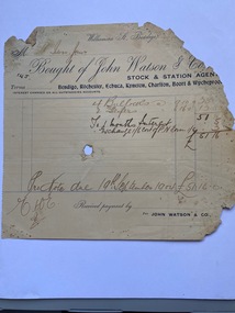 Invoice John Watson and Co., Bendigo, to T. Ison for bullocks and heifers, 1904