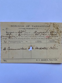 Receipt from Borough of Tarnagulla for Dog Licence to T. Ison, 1905