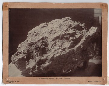 Photograph of the Poseidon Gold Nugget, 1906