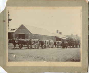 Photograph, 69 Sydney Street