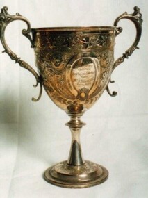 Cup, Allee Cup (Cup)