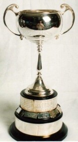 Cup, Harvie Linklater Cup