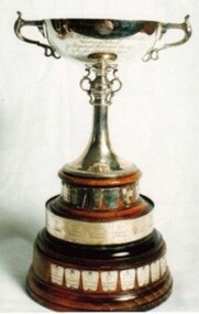 Cup, Huntingfield Cup