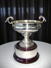 Trophy, Phil Bedlington Award