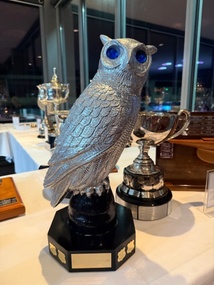 Award - Paul Wise Owl Dragon Trophy, Dragon Long Race Trophy