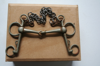 Metal horse bit with chain equine accessory