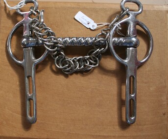 Horse bit, equine accessory 