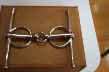 Horse bit, equestrian accessory 