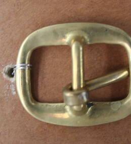 Brass  buckle used as equine accessory