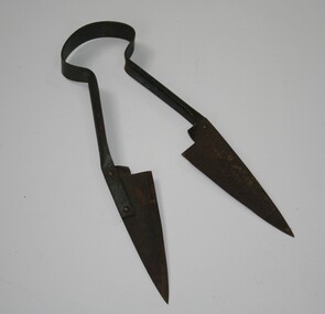Steel hand shears as used in Sheep shearing around the turn of the 20th Century