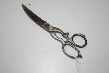 Steel shears used in the kitchen for the dissecting of poultry