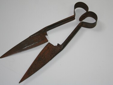 Shearing tool used in  1800 to 1900
