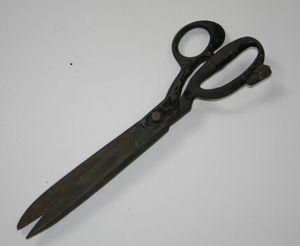 Fabric shears used in tailoring in circa 1900