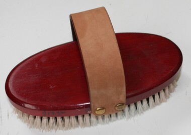 Functional object - Equine BRUSH