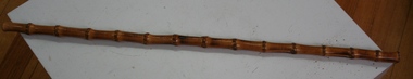 Cane rod used as equine crop handle