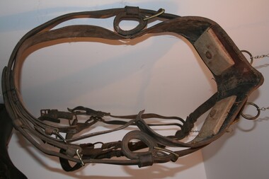 Jinker harness best suited to smaller horses.