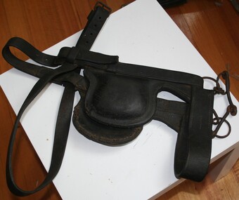 Accessory - Bridle