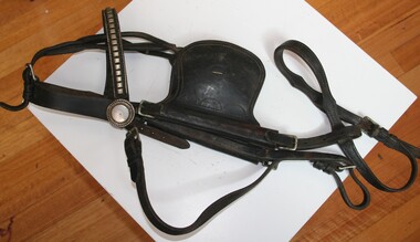 Bridle set including blinkers as used by working horses circa 1900