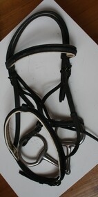 Black leather bridle used for working horses pulling carts or other farm implements