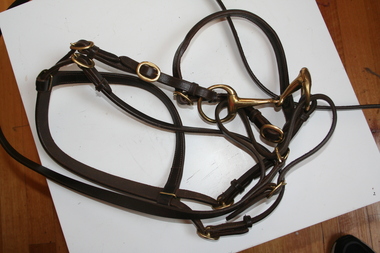 Brown leather bridle with brass buckles and bit