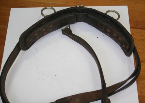 Used on horses back to allow driver to control horse