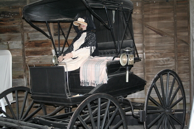 single horse carriage with lamps for night driving also has small cargo shelf behind cab