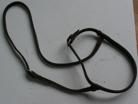 Part of a bridle set used to control horses direction and behaviour