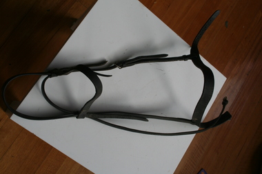 Leather bridle used on small horse to pull carts and coaches